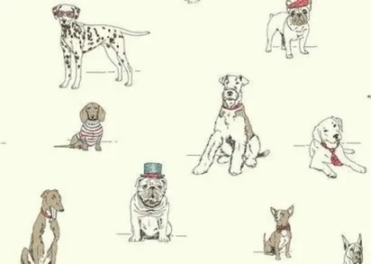 Обои Ashford House Ashford Toiles AF1939