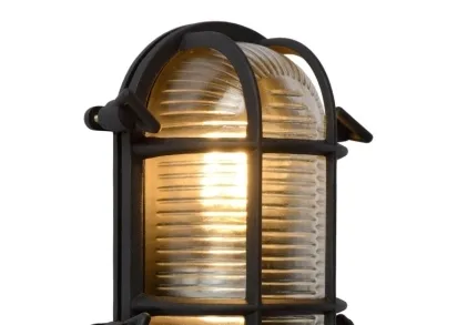 Уличный настенный светильник Lucide Dudley 11891/20/30