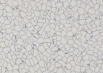 DLV Flooring Standard ESD Tiles ESD Tiles 201 Global Wihite ()