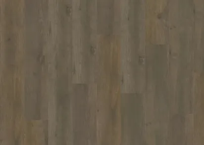 ADELAR ETERNA ACOUSTIC MAJOR OAK 05871