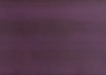 Плитка Сенсус слива 250х750