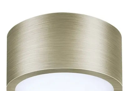 Потолочный светодиодный светильник Lightstar Zolla 213911