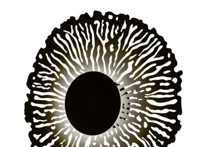 Настенный светодиодный светильник Gerhort G62153/1wS BK