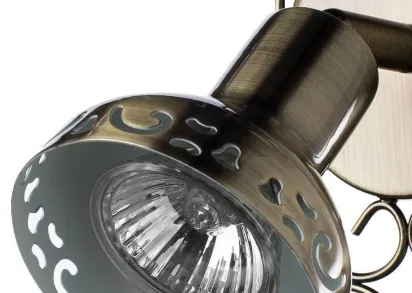 Спот Arte Lamp Focus A5219AP-1BR