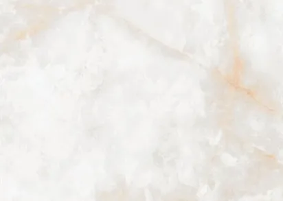 Керамогранит NTT3019P (B) Li Susu Dragon 120x240