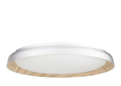 Потолочный светодиодный светильник Citilux Mega CL752452G