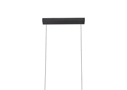 Подвесной светодиодный светильник Gerhort G61320/2BK
