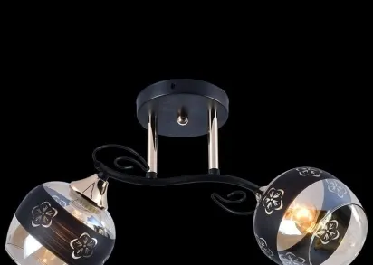 Потолочный светильник Reluce 01254-0.3-02 BK+FGD