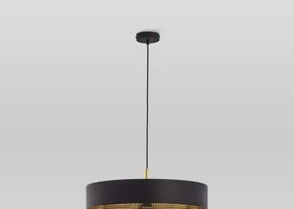 Подвесной светильник TK Lighting 3211 Tago Black