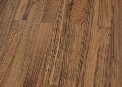 Galathea Exotic ЗЕБРАНО