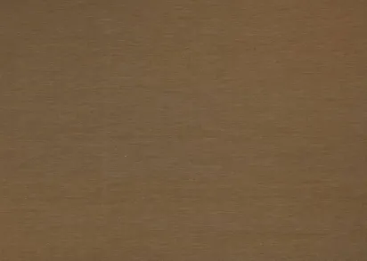 Обои Carl Robinson Raffles No. 16 CB60815