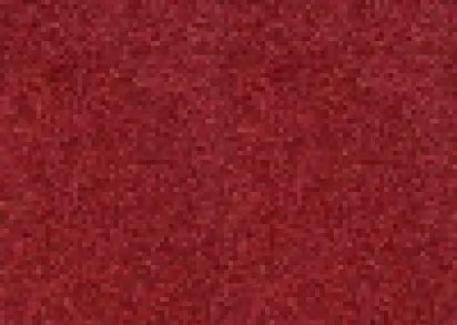 Tapibel President 47880