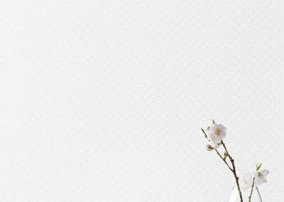 Обои Aura Small Prints G56652