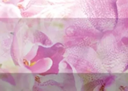 Плитка Бордюр рельефный Impression br1020D190-2 20х10