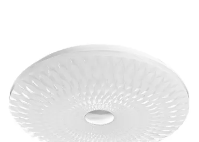 Потолочный светодиодный светильник Arte Lamp A2460PL-1WH