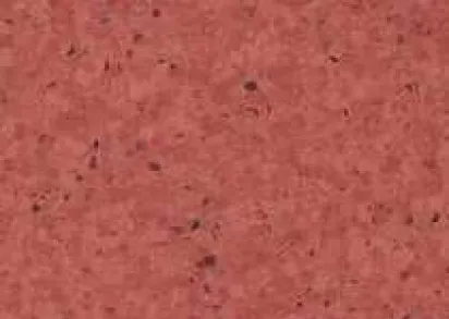 Gerflor Mipolam Elegance 0330 Litchi ()