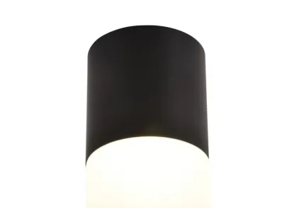 Потолочный светодиодный светильник Favourite Naram 3070-1C