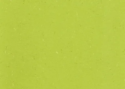 DLW Colorette AcousticPlus LPX 2131-132 lime green