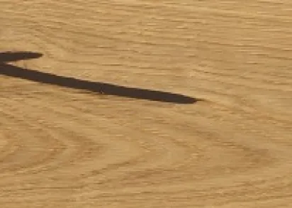 Пробковый пол CORKSTYLE Wood XL PrintCork Oak Accent (Клеевое соединение)