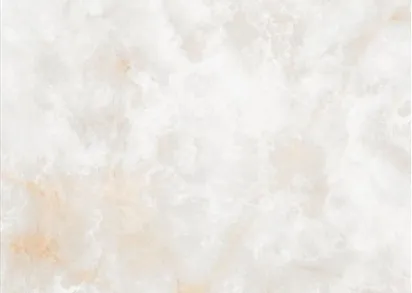 Керамогранит NTT3019P (C) Li Susu Dragon 120x240