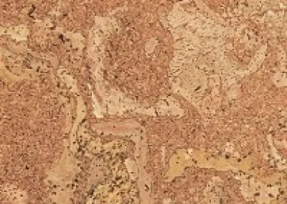 Пробковый пол CORKSTYLE EcoCork Madeira (Клеевое соединение)