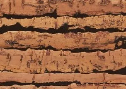 Пробковый пол CORKSTYLE NaturalCork Tigre (Клеевое соединение)