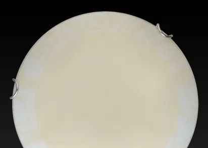 Настенно-потолочный светодиодный светильник Toplight Ginger TL9620Y-00WH