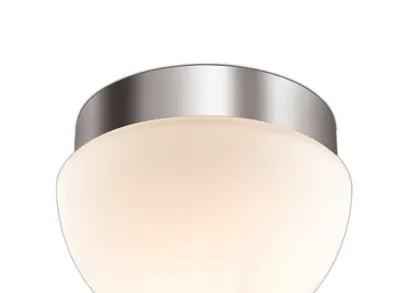 Потолочный светильник Odeon Light Drops Minkar 2443/1A