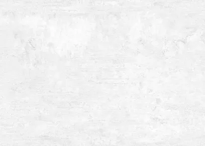 Плитка WT9BTN00 Beton Gray 24.9х50