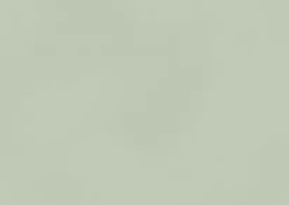 Плитка AKM5 Boost Color Mint 50x120