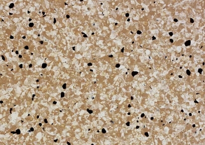 DLV Flooring Standard Conductive Standard Conductive 808 Sahara (2x20)