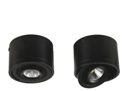 Потолочный светодиодный светильник Favourite Reflector 1777-1C