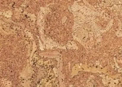 Пробковый пол CORKSTYLE EcoCork Madeira (Замковое соединение)