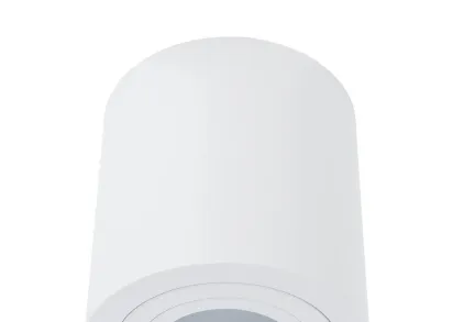 Потолочный светильник Divinare Galopin 1460/03 PL-1