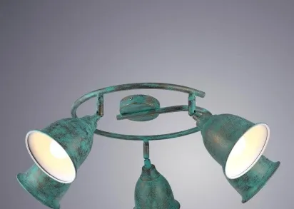 Спот Arte Lamp Campana A9557PL-5BG