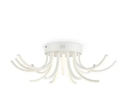 Потолочный светодиодный светильник Freya Naomi FR6046CL-L50W