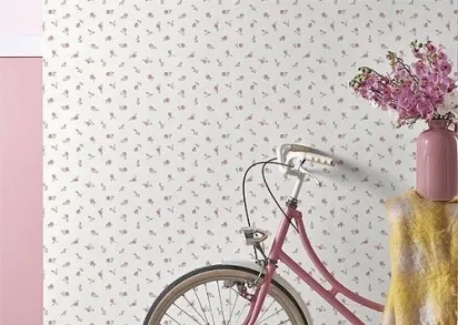 Обои Aura Pippo 455-1