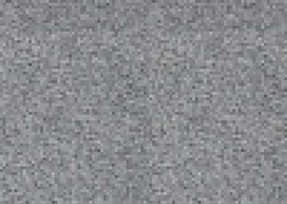 Tapibel President 47841