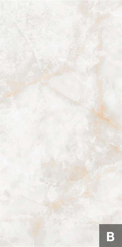 Керамогранит NTT3019P (B) Li Susu Dragon 120x240