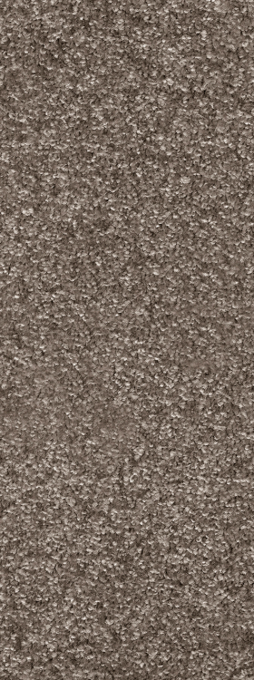 INVICTUS Priscus Priscus 40