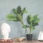 https://www.don-oboi.ru/cache/goods_photos/88x88x1x0x5k3yu4ao.jpg