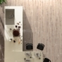 https://www.don-oboi.ru/cache/goods_photos/88x88x1xaaykso57d8.JPG