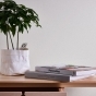 https://www.don-oboi.ru/cache/goods_photos/88x88x1xad64avceiz.jpg