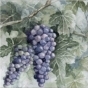 https://www.don-oboi.ru/cache/goods_photos/88x88x1xbea5gsdajm.jpg