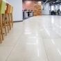 https://www.don-oboi.ru/cache/goods_photos/88x88x1xgsyxnkemve.jpg