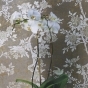 https://www.don-oboi.ru/cache/goods_photos/88x88x1xonund3lny8.jpg
