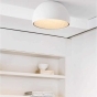 https://www.don-oboi.ru/cache/goods_photos/88x88x1xpgennkbm8j.jpeg