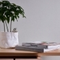 https://www.don-oboi.ru/cache/goods_photos/88x88x1xpurt3xst1y.jpg