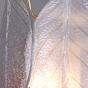 https://www.don-oboi.ru/cache/goods_photos/88x88x1xr8h9201r3n.jpeg